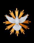 Divine Peace | 22cm Holy Spirit Dove with Golden Sunburst Halo Wall Décor